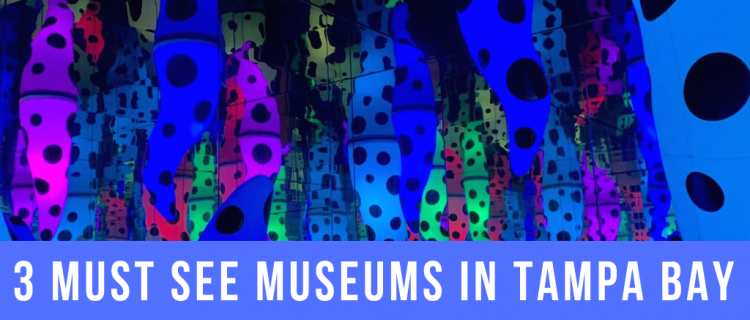 3 Must See Museums in Tampa Bay 3 Must See Museums in Tampa Bay