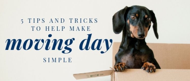 5 Tips and Tricks to Help Make Moving Day Simple 5 Tips and Tricks to Help Make Moving Day Simple