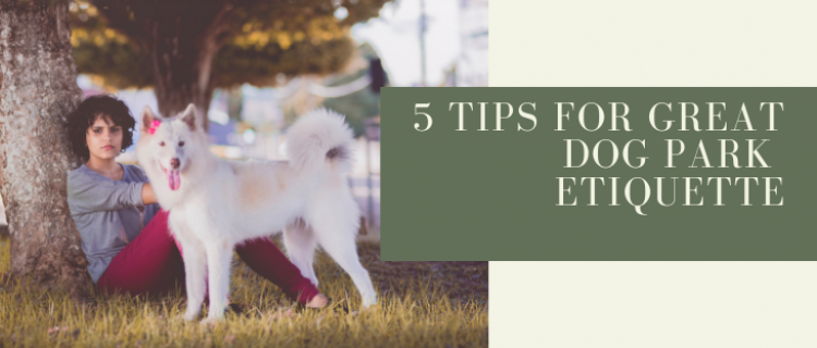 5 Tips for Great Dog Park Etiquette 5 Tips for Great Dog Park Etiquette