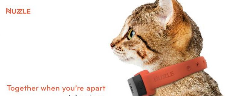 Nuzzle collar can be for cats and dogs! Top 3 Smart Dog Collars for our furry Camden residents!