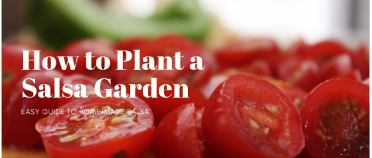 How to Plant a Salsa Garden How to Plant a Salsa Garden