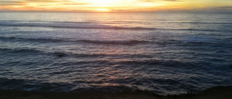 Stunning Views when Visiting OC Sunset Cliffs-Visiting OC