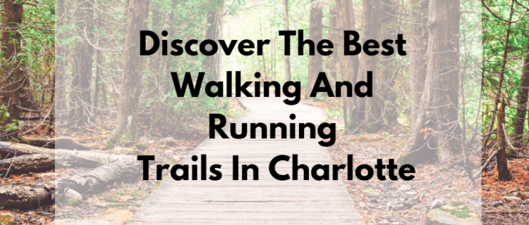 Discover the Best Walking and Running Trails in Charlotte